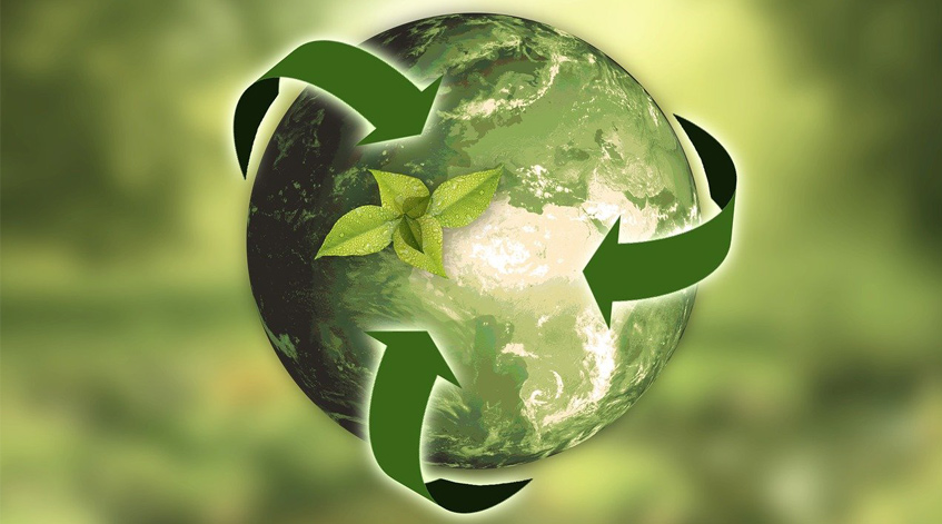 ¿Es posible tener un negocio rentable y preocupado por el medio ambiente?